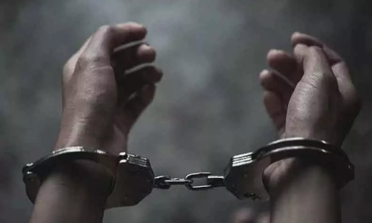 தென் ஆப்பிரிக்கா: ரஷிய ராணுவத்துக்கு ஆள்சேர்க்க முயன்ற 4 பேர் கைது