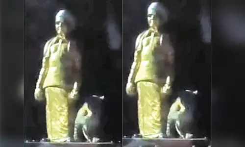 வால்பாறை: எம்.ஜி.ஆர். சிலை அருகே அமர்ந்த சிறுத்தைப்புலி