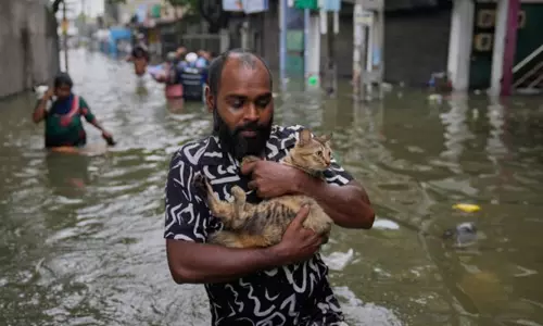 இலங்கையை புரட்டி போட்ட டிட்வா புயல்: 153 பேர் பலி; 200 பேர் மாயம் இலங்கையை புரட்டி போட்ட டிட்வா புயல்: 153 பேர் பலி; 200 பேர் மாயம்