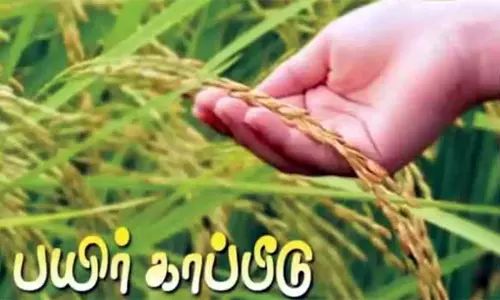 பயிர் காப்பீடு செய்யாத விவசாயிகள் நாளைக்குள் பதிவு செய்ய வேண்டும்: தமிழக அரசு தகவல் பயிர் காப்பீடு செய்யாத விவசாயிகள் நாளைக்குள் பதிவு செய்ய வேண்டும்: தமிழக அரசு தகவல்