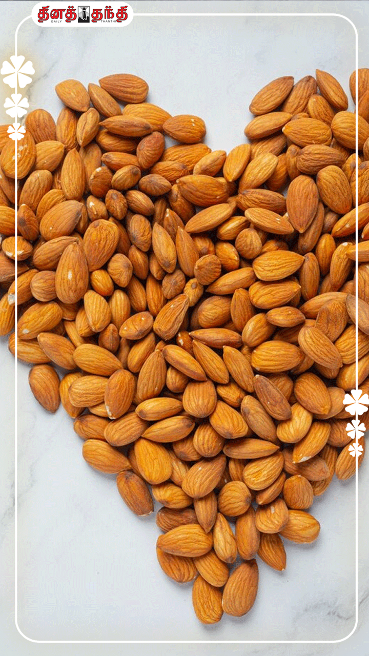 பாதாம் குடல் ஆரோக்கியத்திற்கு முக்கியமானதா?