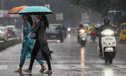 ஆழ்ந்த காற்றழுத்த தாழ்வு மண்டலம் நீடிக்க கூடும் - வானிலை மையம்