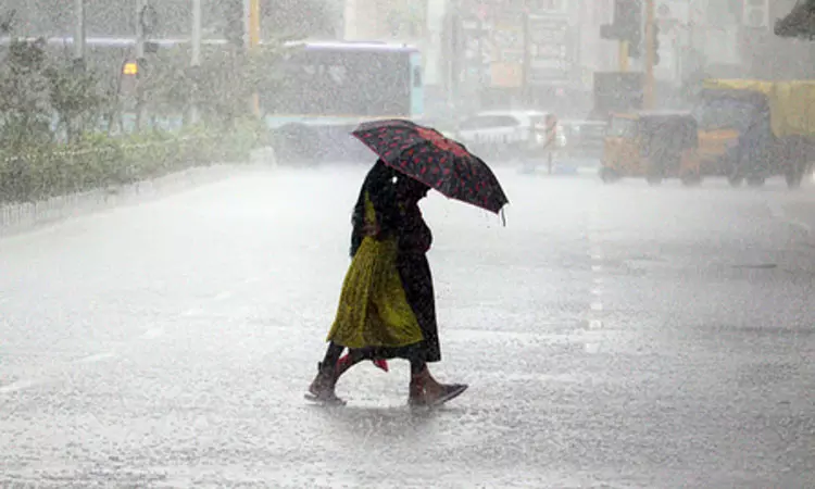 சென்னையில் பலத்த காற்றுடன் கனமழை சென்னையில் பலத்த காற்றுடன் கனமழை