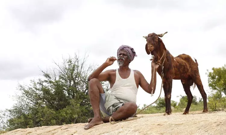 ஒண்டிமுனியும் நல்ல பாடனும் - சினிமா விமர்சனம் ஒண்டிமுனியும் நல்ல பாடனும் - சினிமா விமர்சனம்