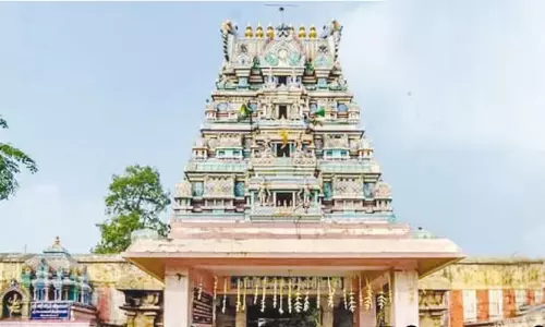 திருப்பத்தூர் திருத்தளிநாதர் கோவில்