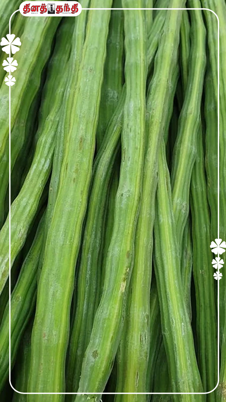 ஒதுக்காதிங்க..எலும்புகளை வலிமையாக்கும் முருங்கைக்காய்!