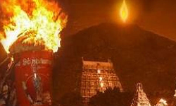 திருவண்ணாமலை மாவட்டத்திற்கு நாளை உள்ளூர் விடுமுறை திருவண்ணாமலை மாவட்டத்திற்கு நாளை உள்ளூர் விடுமுறை