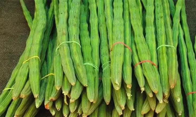 முருங்கைக்காய் விலை கிடுகிடு உயர்வு.. ஒரு கிலோ ரூ.600-க்கு விற்பனை.. எங்கு தெரியுமா..?