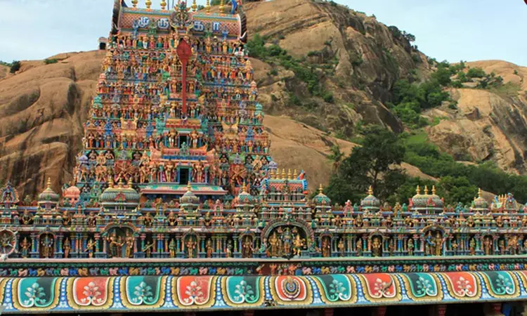 திருப்பரங்குன்றம் மலை உச்சியில் தீபம் ஏற்ற அனுமதி அளித்ததற்கு எதிராக மேல் முறையீடு திருப்பரங்குன்றம் மலை உச்சியில் தீபம் ஏற்ற அனுமதி அளித்ததற்கு எதிராக மேல் முறையீடு