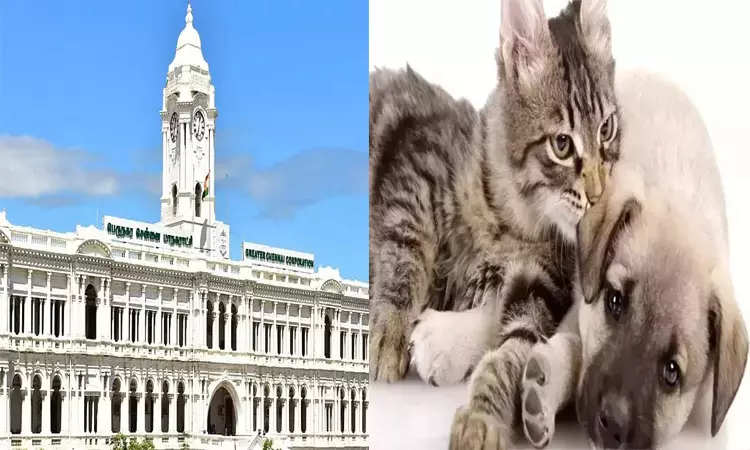 சென்னையில் செல்லப்பிராணிகளுக்கு உரிமம் பெற காலக்கெடு டிசம்பர் 14ம் தேதி வரை நீட்டிப்பு