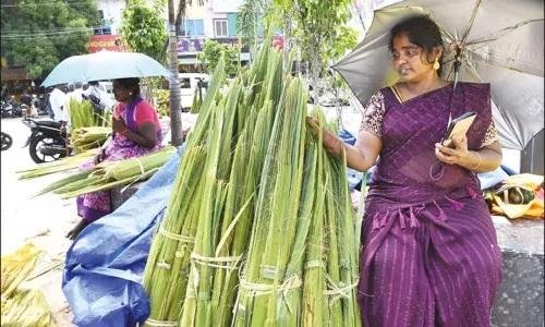 திருக்கார்த்திகை பண்டிகை.. தூத்துக்குடியில் பனை ஓலை விற்பனை விறுவிறுப்பு
