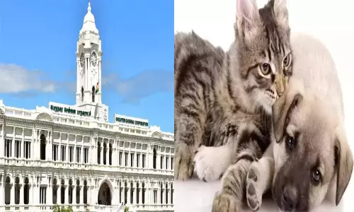 சென்னையில் செல்லப்பிராணிகளுக்கு உரிமம் பெற காலக்கெடு டிசம்பர் 14ம் தேதி வரை நீட்டிப்பு