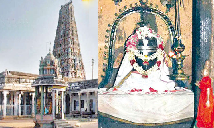 சாக்கோட்டை வீரசேகரர் கோவில்