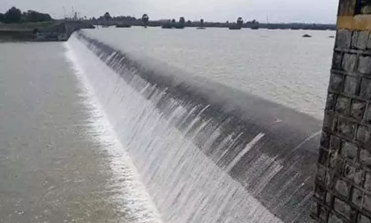 நம்பியாறு அணையில் இருந்து 117 நாட்களுக்கு தண்ணீர் திறந்துவிட தமிழக அரசு உத்தரவு நம்பியாறு அணையில் இருந்து 117 நாட்களுக்கு தண்ணீர் திறந்துவிட தமிழக அரசு உத்தரவு