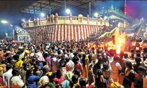 முருகன் கோவில்களில் கார்த்திகை தீபத் திருவிழா கொண்டாட்டம்