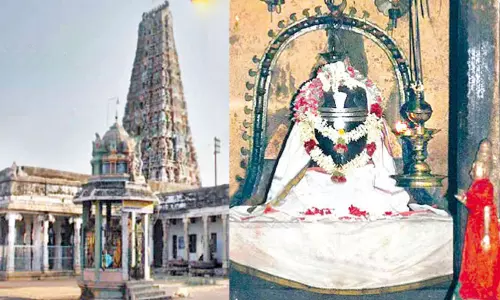 சாக்கோட்டை வீரசேகரர் கோவில்