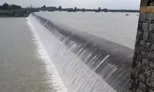 நம்பியாறு அணையில் இருந்து 117 நாட்களுக்கு தண்ணீர் திறந்துவிட தமிழக அரசு உத்தரவு நம்பியாறு அணையில் இருந்து 117 நாட்களுக்கு தண்ணீர் திறந்துவிட தமிழக அரசு உத்தரவு