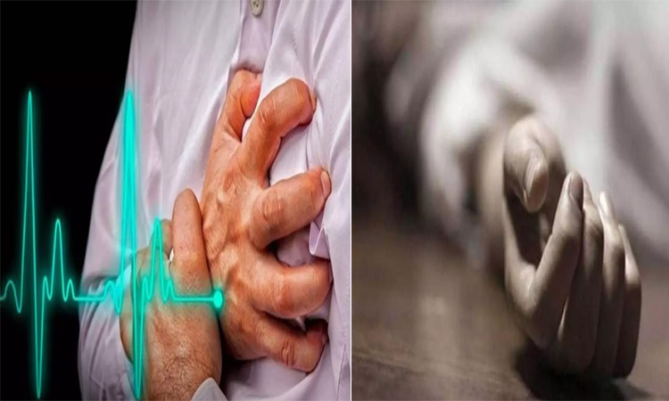 எஸ்.ஐ.ஆர். பணியில் ஈடுபட்டு வந்த ஊழியர் மாரடைப்பால் உயிரிழப்பு