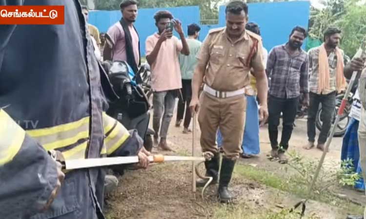 இருசக்கர வாகனத்திற்குள் பதுங்கியிருந்த நல்ல பாம்பு - 5 மணி நேரம் போராடி மீட்ட தீயணைப்பு வீரர்கள்