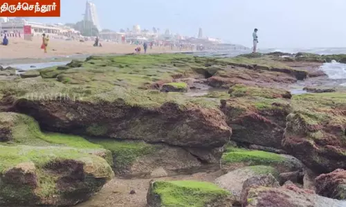 திருச்செந்தூரில் தீடீரென 75 அடி தூரத்திற்கு உள்வாங்கிய கடல்