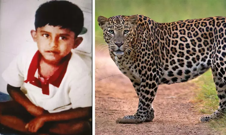 வால்பாறையில் 5 வயது சிறுவனை கவ்விச்சென்று கொன்ற சிறுத்தை-வனப்பகுதியில் உடல் மீட்பு வால்பாறையில் 5 வயது சிறுவனை கவ்விச்சென்று கொன்ற சிறுத்தை-வனப்பகுதியில் உடல் மீட்பு