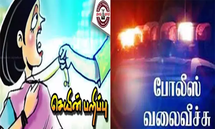 இளம்பெண்ணை தாக்கி தங்க செயின் பறிப்பு: 2 பேருக்கு போலீஸ் வலைவீச்சு இளம்பெண்ணை தாக்கி தங்க செயின் பறிப்பு: 2 பேருக்கு போலீஸ் வலைவீச்சு