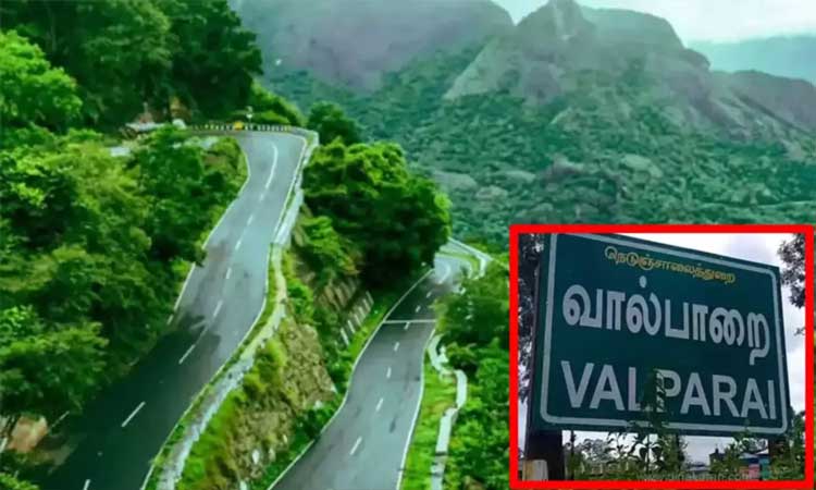 வால்பாறையில் மனித வனவிலங்கு மோதலை தடுக்க தமிழ்நாடு அரசு குழு அமைப்பு