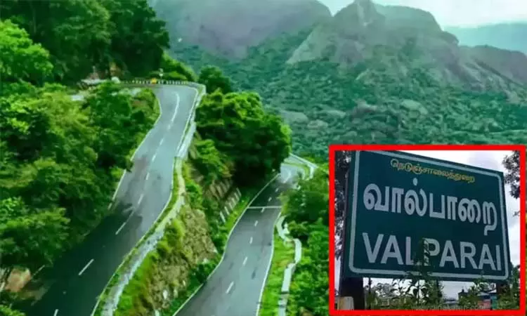 வால்பாறையில் மனித வனவிலங்கு மோதலை தடுக்க தமிழ்நாடு அரசு குழு அமைப்பு வால்பாறையில் மனித வனவிலங்கு மோதலை தடுக்க தமிழ்நாடு அரசு குழு அமைப்பு