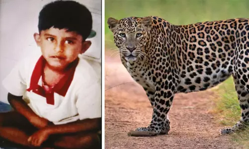 வால்பாறையில் 5 வயது சிறுவனை கவ்விச்சென்று கொன்ற சிறுத்தை-வனப்பகுதியில் உடல் மீட்பு வால்பாறையில் 5 வயது சிறுவனை கவ்விச்சென்று கொன்ற சிறுத்தை-வனப்பகுதியில் உடல் மீட்பு