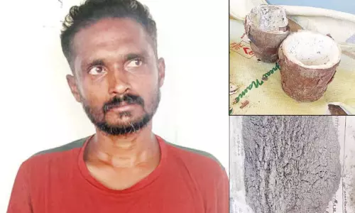 மரவள்ளி கிழங்கால் நாட்டு வெடிகுண்டு தயாரித்தவர் கைது மரவள்ளி கிழங்கால் நாட்டு வெடிகுண்டு தயாரித்தவர் கைது