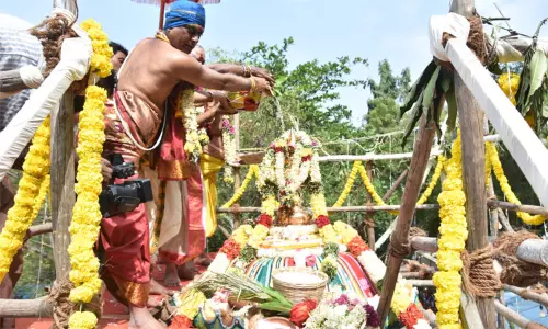 பழனி வீர துர்கை அம்மன் கோவில் கும்பாபிஷேகம் பழனி வீர துர்கை அம்மன் கோவில் கும்பாபிஷேகம்