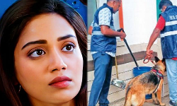 கண்ணாமூச்சி ரேரே கண்டுபிடி யாரு? கோவை கலெக்டர் அலுவலகத்திற்கு வெடிகுண்டு மிரட்டல் கண்ணாமூச்சி ரேரே கண்டுபிடி யாரு? கோவை கலெக்டர் அலுவலகத்திற்கு வெடிகுண்டு மிரட்டல்