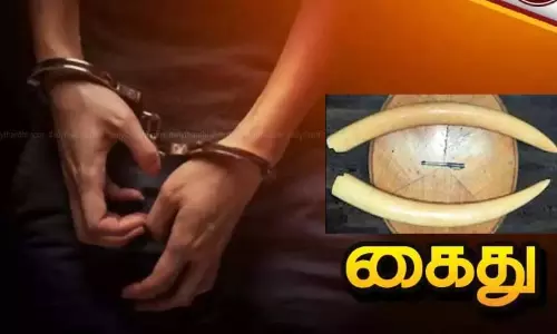 ராமநாதபுரத்தில் இருந்து இலங்கைக்கு கடத்த முயன்ற ரூ. 1 கோடி மதிப்புள்ள யானை தந்தங்கள் பறிமுதல் ராமநாதபுரத்தில் இருந்து இலங்கைக்கு கடத்த முயன்ற ரூ. 1 கோடி மதிப்புள்ள யானை தந்தங்கள் பறிமுதல்