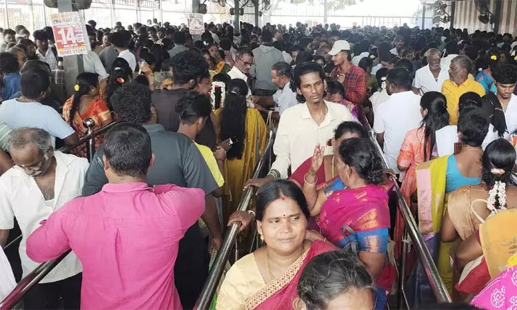 சிறுவாபுரியில் மகா அலங்காரத்தில் அருள்பாலித்த பாலசுப்பிரமணியர்.. திரளான பக்தர்கள் தரிசனம் சிறுவாபுரியில் மகா அலங்காரத்தில் அருள்பாலித்த பாலசுப்பிரமணியர்.. திரளான பக்தர்கள் தரிசனம்