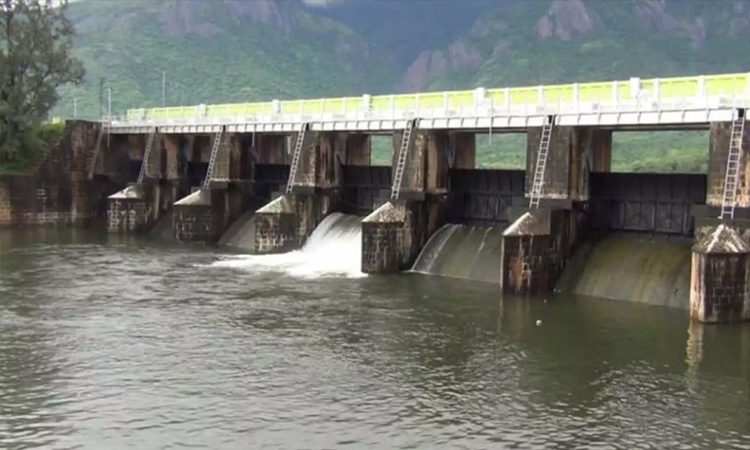 கடனாநதி அணையில் இருந்து பாசனத்துக்காக தண்ணீர் திறப்பு