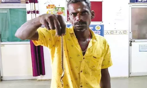 தன்னை கடித்த பாம்புடன் சிகிச்சைக்கு வந்த விவசாயி தன்னை கடித்த பாம்புடன் சிகிச்சைக்கு வந்த விவசாயி