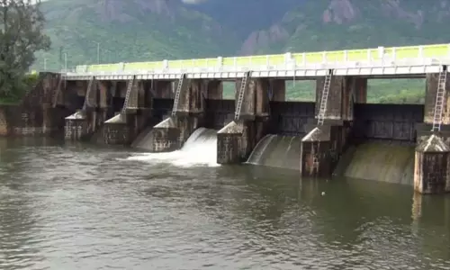 கடனாநதி அணையில் இருந்து பாசனத்துக்காக தண்ணீர் திறப்பு கடனாநதி அணையில் இருந்து பாசனத்துக்காக தண்ணீர் திறப்பு