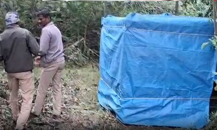 ஊட்டியில் பழங்குடியின பெண்னை அடித்துக்கொன்ற புலி கூண்டில் சிக்கியது