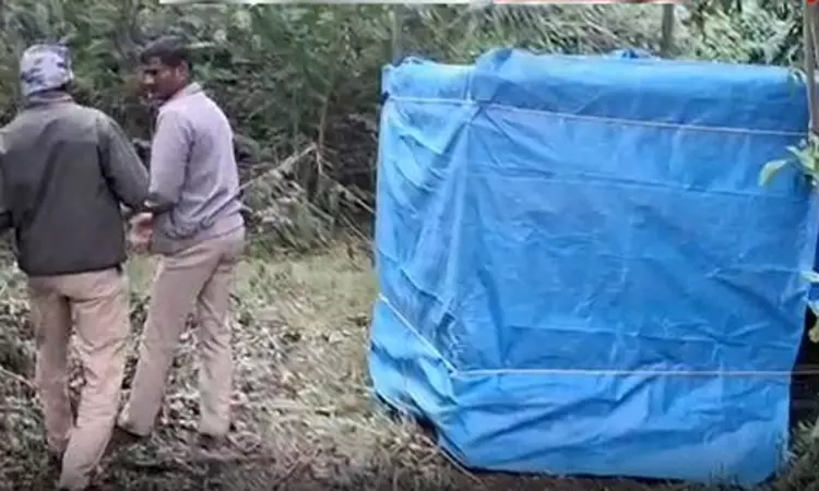 ஊட்டியில் பழங்குடியின பெண்ணை அடித்துக்கொன்ற புலி கூண்டில் சிக்கியது ஊட்டியில் பழங்குடியின பெண்ணை அடித்துக்கொன்ற புலி கூண்டில் சிக்கியது