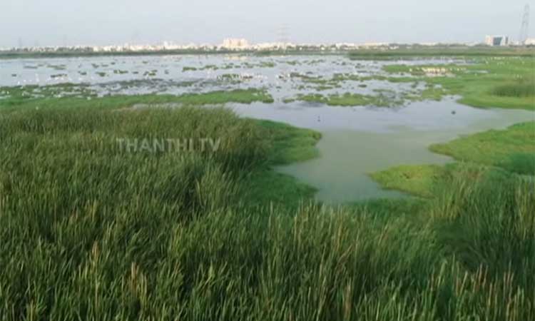 சதுப்பு நிலங்களை அளவிடும் பணி நிறைவு - ஐகோர்ட்டில் தமிழக அரசு தகவல்