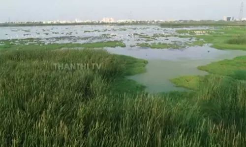 சதுப்பு நிலங்களை அளவிடும் பணி நிறைவு - ஐகோர்ட்டில் தமிழக அரசு தகவல் சதுப்பு நிலங்களை அளவிடும் பணி நிறைவு - ஐகோர்ட்டில் தமிழக அரசு தகவல்