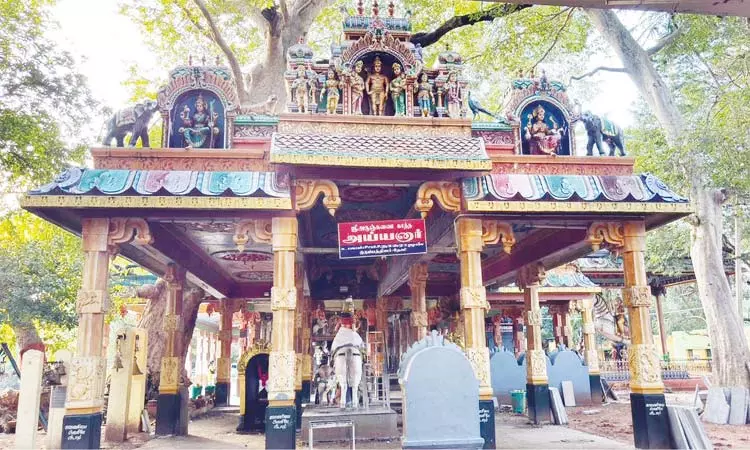 அருஞ்சுனை காத்த அய்யனார் கோவில் அருஞ்சுனை காத்த அய்யனார் கோவில்