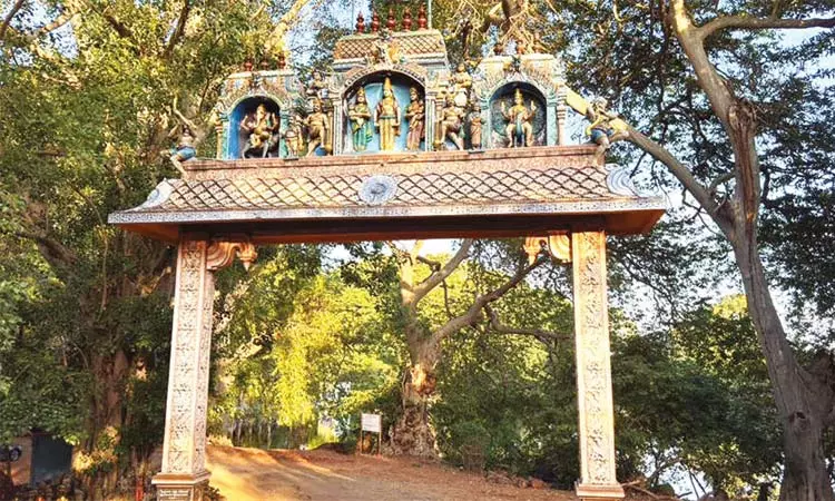 அருஞ்சுனை காத்த அய்யனார் கோவில் அருஞ்சுனை காத்த அய்யனார் கோவில்