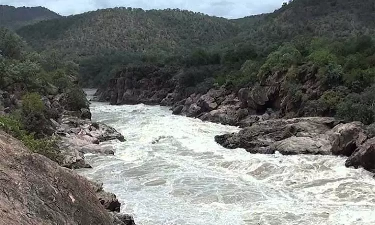 மேகதாது அணை விவகாரம்; சுப்ரீம் கோர்ட்டில் மறுசீராய்வு மனு - தமிழக அரசுக்கு விவசாயிகள் சங்கம் நன்றி மேகதாது அணை விவகாரம்; சுப்ரீம் கோர்ட்டில் மறுசீராய்வு மனு - தமிழக அரசுக்கு விவசாயிகள் சங்கம் நன்றி