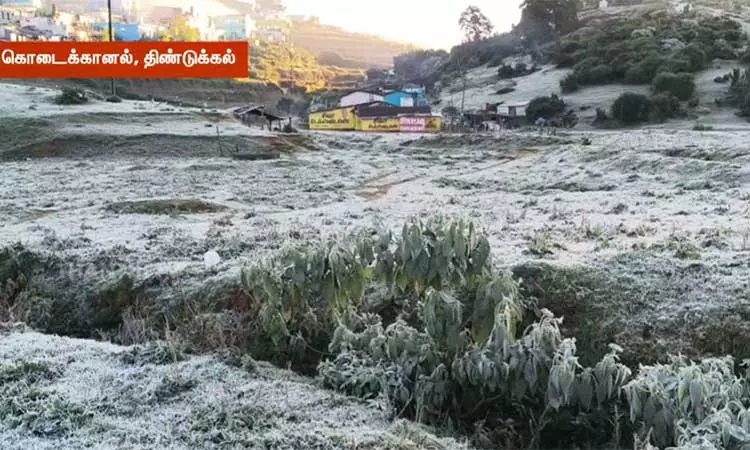 ஊட்டி, கொடைக்கானலில் உறைபனி சீசன் - ரசித்து மகிழும் சுற்றுலா பயணிகள் ஊட்டி, கொடைக்கானலில் உறைபனி சீசன் - ரசித்து மகிழும் சுற்றுலா பயணிகள்