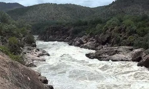 மேகதாது அணை விவகாரம்; சுப்ரீம் கோர்ட்டில் மறுசீராய்வு மனு - தமிழக அரசுக்கு விவசாயிகள் சங்கம் நன்றி மேகதாது அணை விவகாரம்; சுப்ரீம் கோர்ட்டில் மறுசீராய்வு மனு - தமிழக அரசுக்கு விவசாயிகள் சங்கம் நன்றி