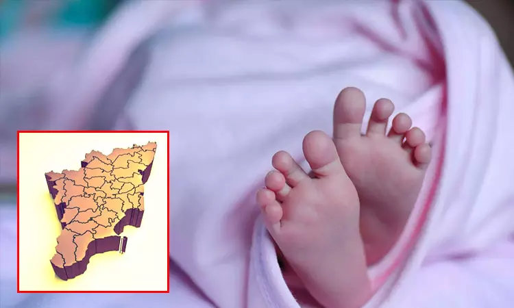 தமிழகத்தில் குழந்தை பிறப்பு விகிதம் 18 சதவீதம் சரிவு; காரணம் என்ன? தமிழகத்தில் குழந்தை பிறப்பு விகிதம் 18 சதவீதம் சரிவு; காரணம் என்ன?