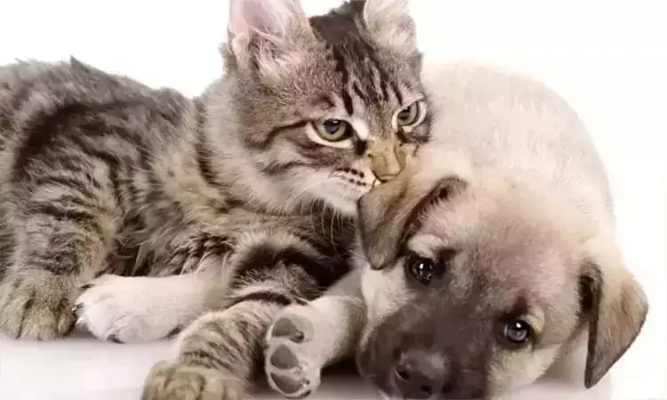 சென்னை: செல்லப்பிராணிகளுக்கு உரிமம் பெற காலக்கெடு... ... இன்றைய முக்கிய செய்திகள்.. சில வரிகளில்.. 14-12-2025 சென்னை: செல்லப்பிராணிகளுக்கு உரிமம் பெற காலக்கெடு... ... இன்றைய முக்கிய செய்திகள்.. சில வரிகளில்.. 14-12-2025