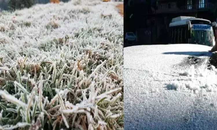 ஊட்டியில் கடும் குளிர் : உறைபனியால் மக்கள் தவிப்பு ஊட்டியில் கடும் குளிர் : உறைபனியால் மக்கள் தவிப்பு