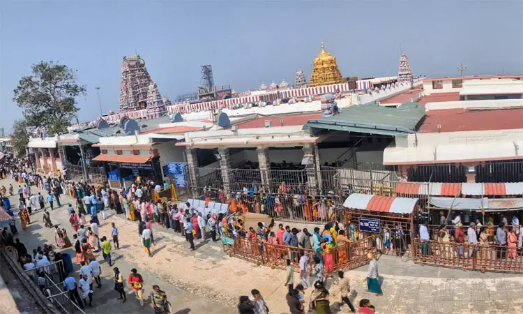 பழனி மலைக் கோவிலில் குவிந்த பக்தர்கள்... 2 மணி நேரம் காத்திருந்து தரிசனம் பழனி மலைக் கோவிலில் குவிந்த பக்தர்கள்... 2 மணி நேரம் காத்திருந்து தரிசனம்